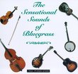 Sensational Sounds of Bluegrass