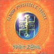 Spirit Zone: Global Psychedelic Trance Vol. 6