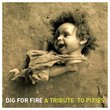 Dig for Fire: Tribute to Pixies