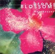 Bronze Blossoms-Gamlan V.2: Haruomi Hosono