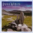 Irish Voices: The Best in Traditional Singing