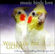 Music Birds Love: While You Are Gone