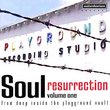 Vol. 1-Soul Resurrection: the Playground Series