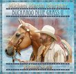 Buckaroo Blue Grass II - Riding Song