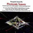 Pirotecnie Sonore