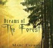 Dreams of the Forest