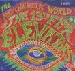 The Psychedelic World of the 13th Floor Elevators