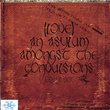 (Love) An Asylum Amongst the Convulsions