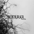 Concrete by Whourkr (2010-01-19)