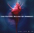 The Future Sound Of Ambient Vol III & IV [RARE]