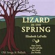 Lizard in the Spring