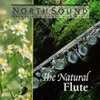 The Natural Flute