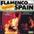 Flamenco Highlights From Spain