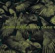 Cage: Bird Cage