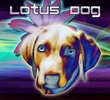Lotus Dog