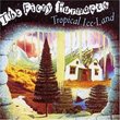 Tropical Ice-Land