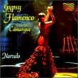 Gypsy Flamenco From The Camarque