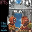 Biro: The Comparative Anatomy of Angels
