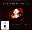Looking Glass (W/Dvd)
