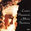 Cantes Flamencos a Maria Santisima