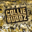 Collie Buddz