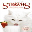 Taste of Strawbs