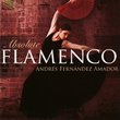 Absolute Flamenco