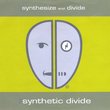 Synthesize and Divide
