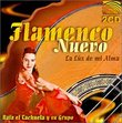 Flamenco Nuevo: La Luz de Mi Alma