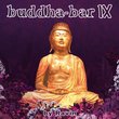Buddha Bar Ix