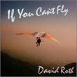 If You Can't Fly