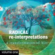 Radical Re-Interpretations Volume 1: A Transformation of Hits