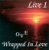 OVE; Live 1; Wrapped In Love