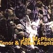 Tenor-Fallen Angels