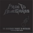 Bluegrass Tribute to Metallica
