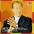 Arte Flamenco Vol. 3