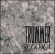 Trummerflora