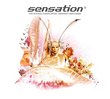 Sensation - The Official Compilation: Germany 2007/2008
