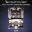 Echoes of the American Cathedral: Music of David Ashley White