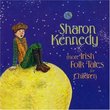 More Irish Folk Tales for Children