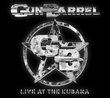 Live at the Kubana by Gun Barrel (2010-12-28)