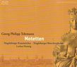 Telemann: Motets