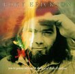 You're Gonna Miss Me: The Best Of Roky Erickson