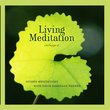 Living Meditation Vol. II - Guided Meditations With David Harshada Wagner