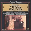 Classical Treasures: Beautiful Vienna Waltzes