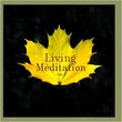 Living Meditation Vol. III: Guided Relaxations With David Harshada Wagner