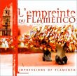 Impressions of Flamenco