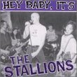 Hey Baby It's the Stallions