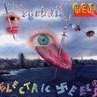 The Eyeball of Hell [Vinyl]