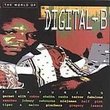 World of Digital B